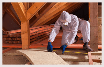 Attic-Cleaning-And-Decontamination